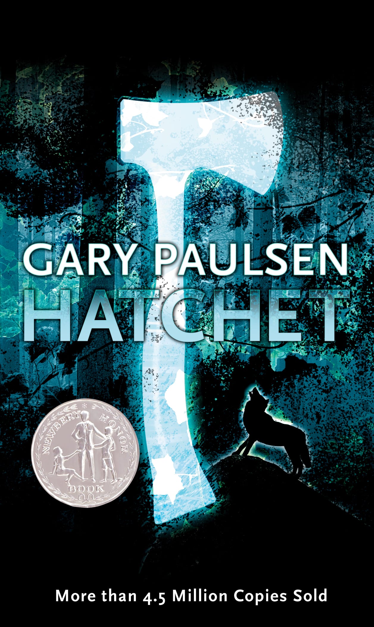 The cover for the book Hatchet