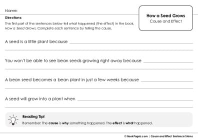 Thumbnail for Cause and Effect Sentence Stems with How a Seed Grows
