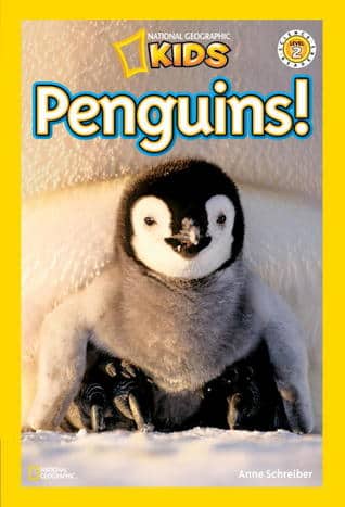 The cover for the book Penguins
