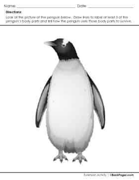 Thumbnail for Features of Nonfiction Text with Penguins