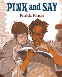 The cover for the book Pink and Say