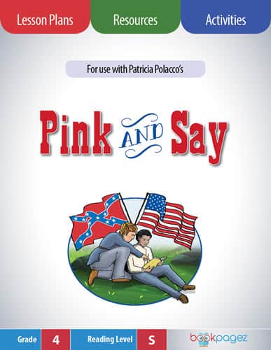 The cover for Pink and Say Lesson Plans and Teaching Resources
