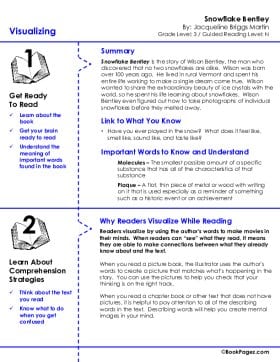 The first page of Visualizing with Snowflake Bentley