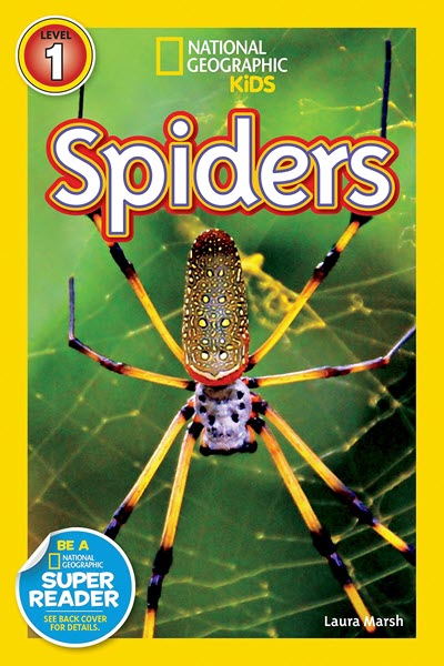 The cover for the book Spiders