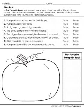 Thumbnail for True or False with The Pumpkin Book